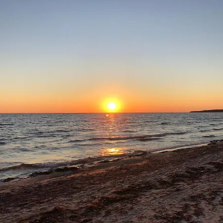 Veela Metsamaja Hébergement de vacances *