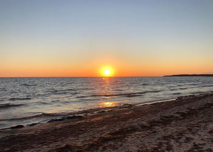 Veela Metsamaja Dom wakacyjny *