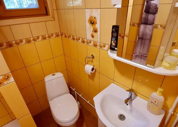 Dom wakacyjny Veela Metsamaja