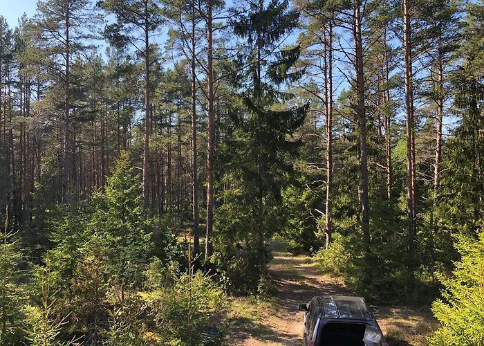 Dom wakacyjny Veela Metsamaja Noarootsi